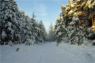 《三国志8重制版》角色武力＆智力排行榜公布 吕布诸葛亮居首