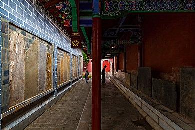 《猛兽派对》夏日游戏节新宣传片 将推出卡丁车模式