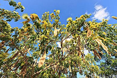 《死亡空间：重制版》进厂压盘 这游戏更恐怖刺激了